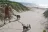 Padre Island National Seashore