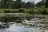 Camp Langston RV Resort