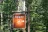 Apgar Campground