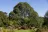 Bowral Gardens