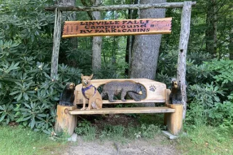 Linville Falls Trailer Lodge & Campground