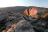 Culp Valley