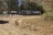 Clear Creek Campground