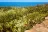 Mimosa Rocks National Park