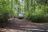 Penrose Point State Park