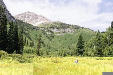 Timpooneke Campground