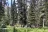 Loop Brook Campground