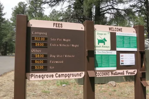 Pinegrove Campground