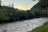 Tree of Heaven Campground