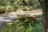 Wolf Creek County Park