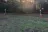 Royal Oaks Mobile Home & RV Park