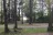 Fitzroy Provincial Park