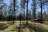 Wilderness Landing Park
