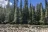 White Sand Campground