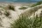 Lanis On The Beach