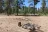 Forest Road 512
