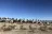 Desert View RV Resort