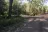 Juniper Campground