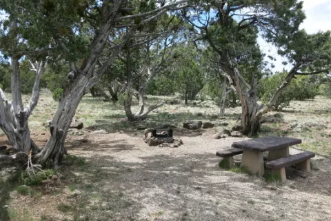 Ashurst Lake Campground