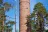 Pyynikki Park and Observation Tower