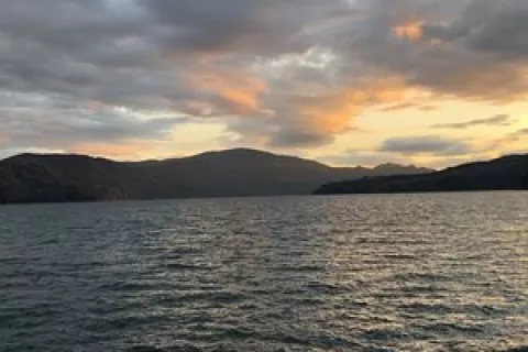 Riffe Lake Dispersed