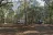 Whitehead Landing Campground