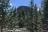 Rambling Moose Campground