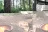 Quemahoning Family Recreation Area