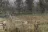 Lakeside RV Park