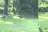 Cedar Oaks RV Park
