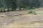 Potosi Campground & Picnic Area