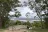 Laguna Lookout