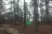 Coyote Camp