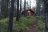 Two Jack Main Campground