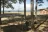Rayburn Park