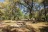 Goose Pasture Campground