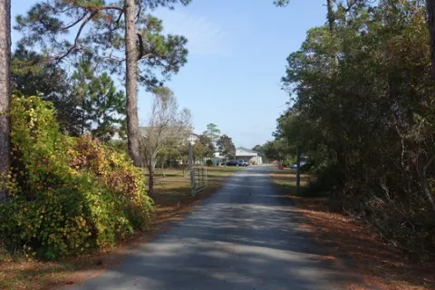 Arnett's Gulfside Trail Rides & Campground