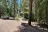 Trail Creek Campground