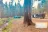 Red Rock Creekside Dispersed Camping