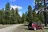 Forest Road 21 Dispersed Camping