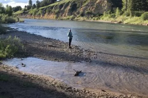 River Junction Campground