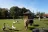 Camping Mareveld