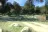 Cottonwood Campground