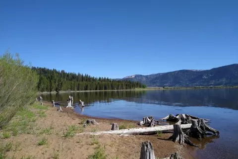Spring Creek Campground
