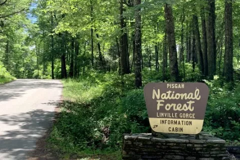 Old NC-105 Dispersed Campsites