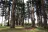 Tenino City Park