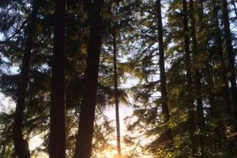 American Heritage Campground