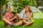Secura Lifestyle Countryside Kalaru