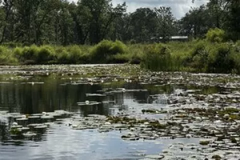 Camp Langston RV Resort