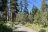 Idlewild Campground